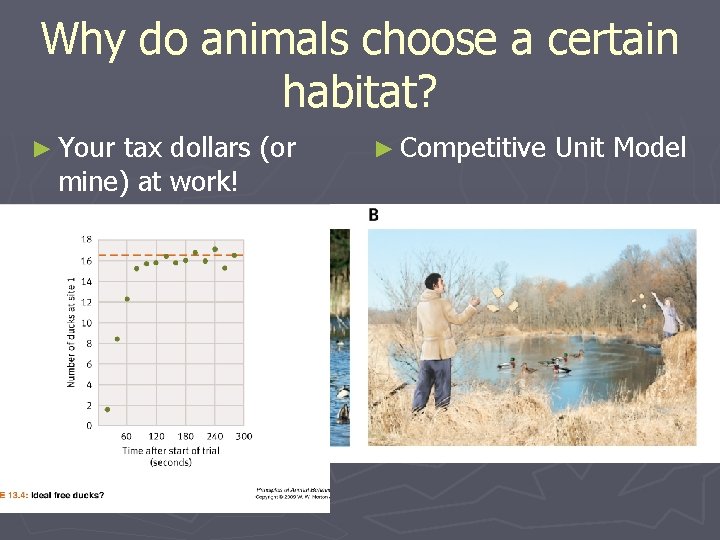 Why do animals choose a certain habitat? ► Your tax dollars (or mine) at
