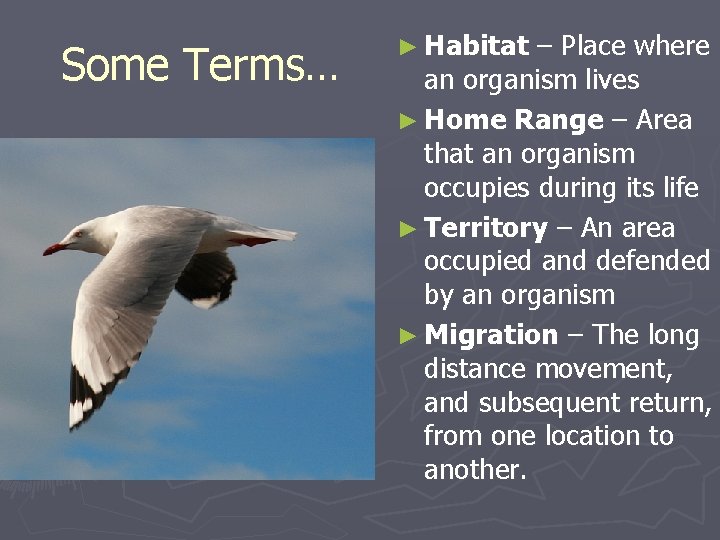 Some Terms… ► Habitat – Place where an organism lives ► Home Range –