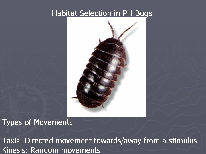 Habitat Selection in Pill Bugs Types of Movements: Taxis: Directed movement towards/away from a