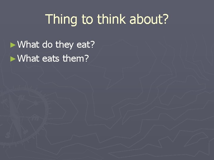 Thing to think about? ► What do they eat? ► What eats them? 