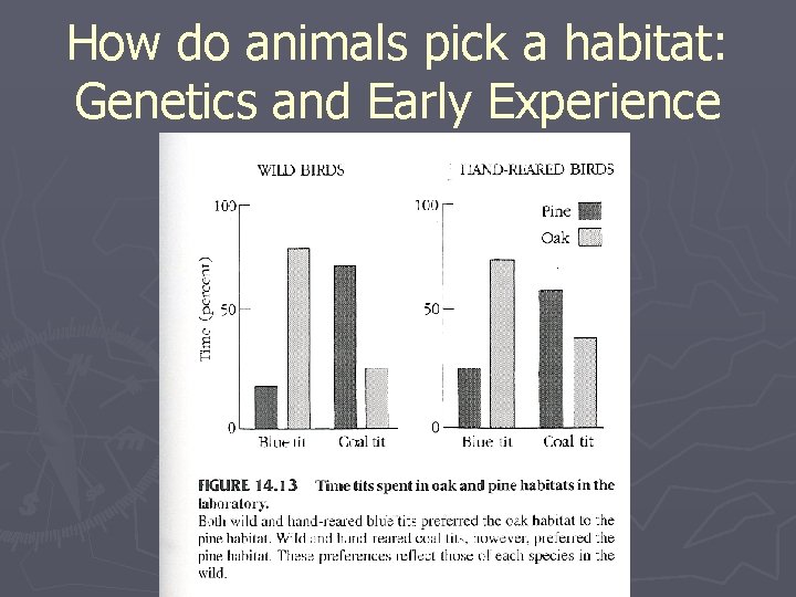 How do animals pick a habitat: Genetics and Early Experience 
