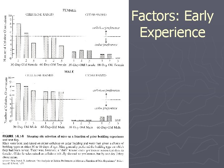 Factors: Early Experience 