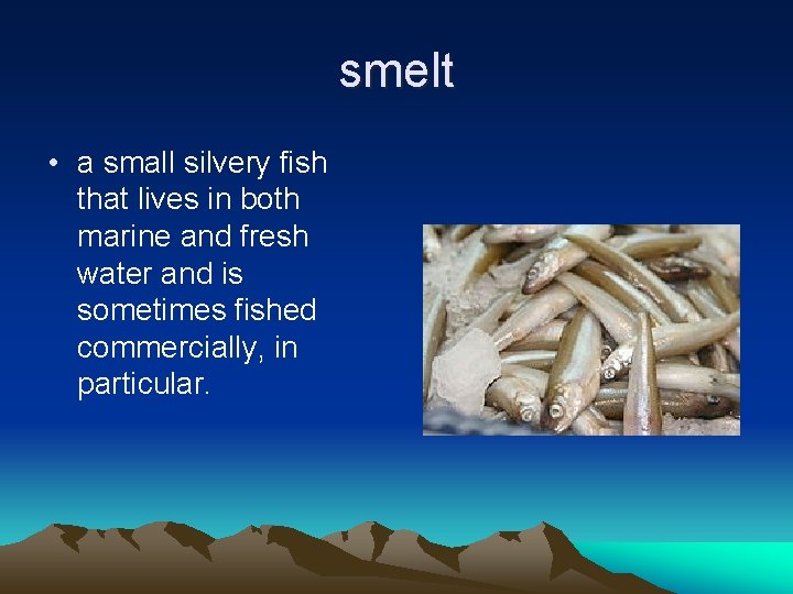 smelt • a small silvery fish that lives in both marine and fresh water