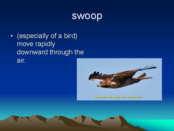 swoop • (especially of a bird) move rapidly downward through the air. 