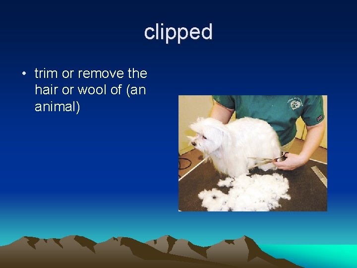 clipped • trim or remove the hair or wool of (an animal) 