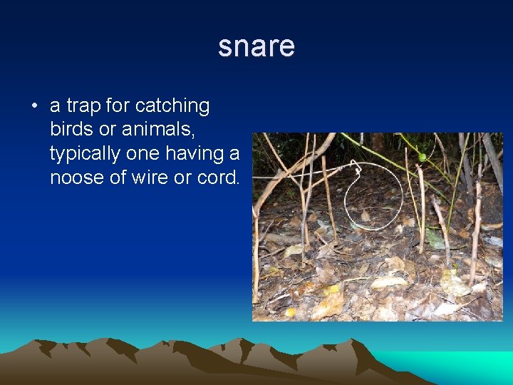 snare • a trap for catching birds or animals, typically one having a noose