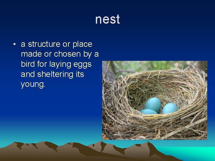 nest • a structure or place made or chosen by a bird for laying