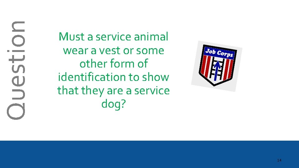 Question Must a service animal wear a vest or some other form of identification