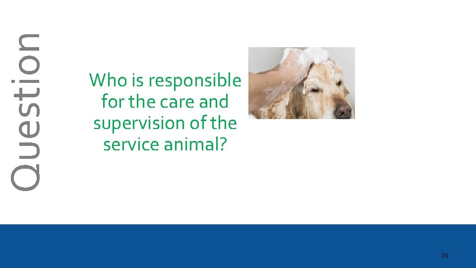 Question Who is responsible for the care and supervision of the service animal? 20