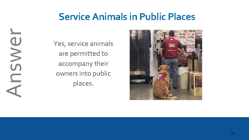 Answer Service Animals in Public Places Yes, service animals are permitted to accompany their