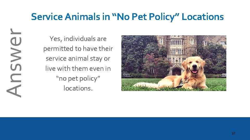 Answer Service Animals in “No Pet Policy” Locations Yes, individuals are permitted to have