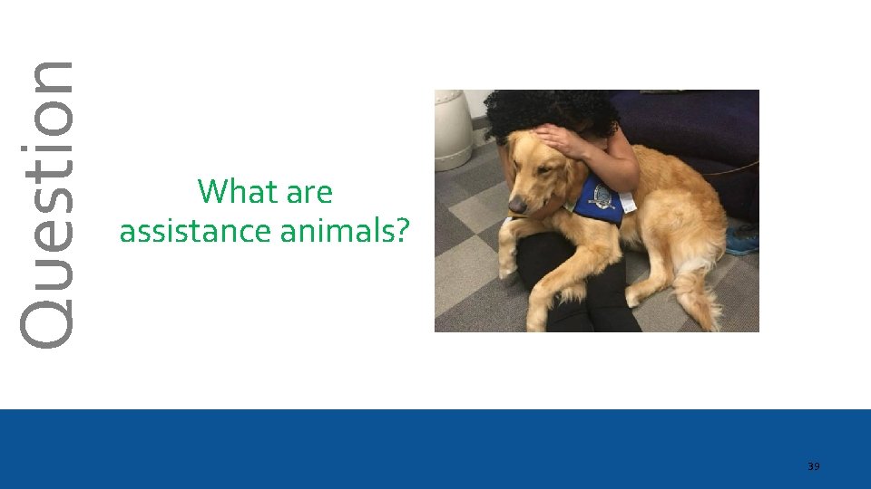 Question What are assistance animals? 39 