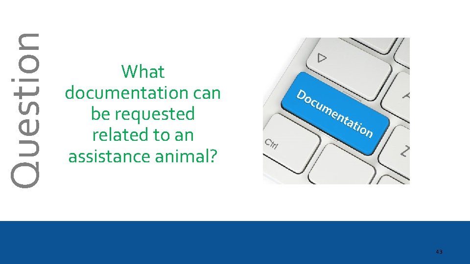 Question What documentation can be requested related to an assistance animal? 43 
