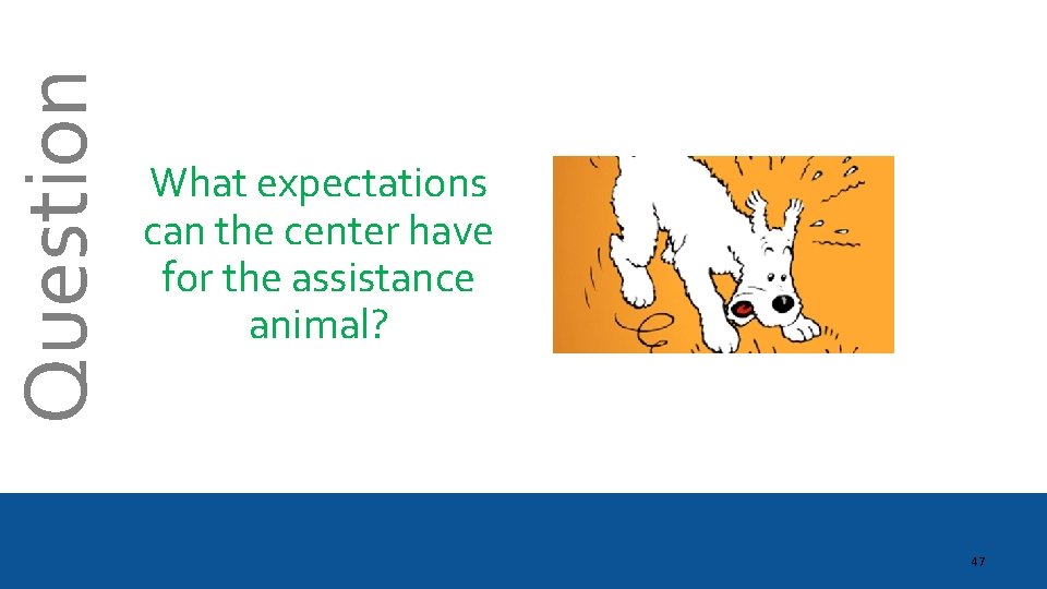 Question What expectations can the center have for the assistance animal? 47 