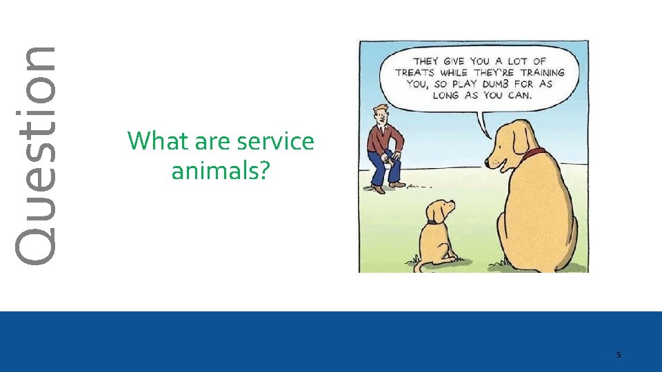 Question What are service animals? 5 