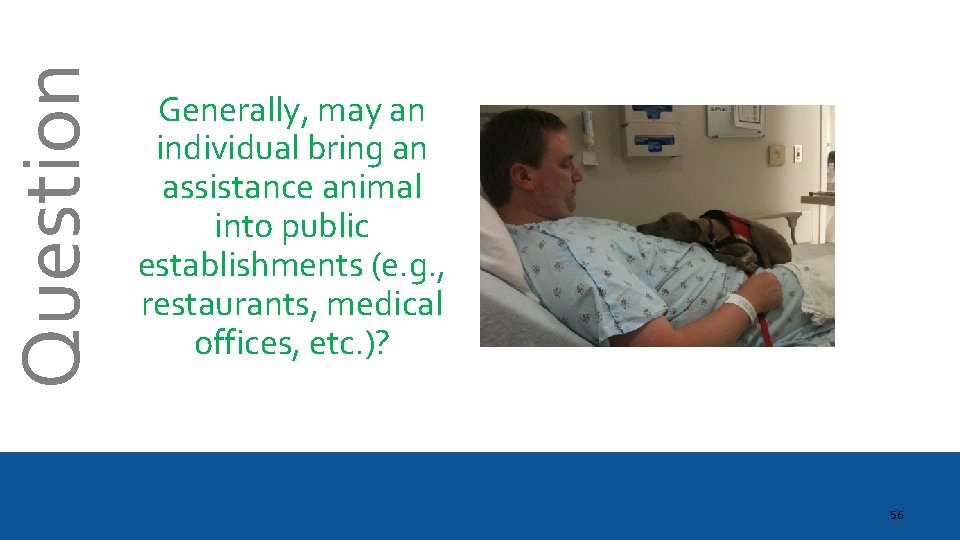 Question Generally, may an individual bring an assistance animal into public establishments (e. g.