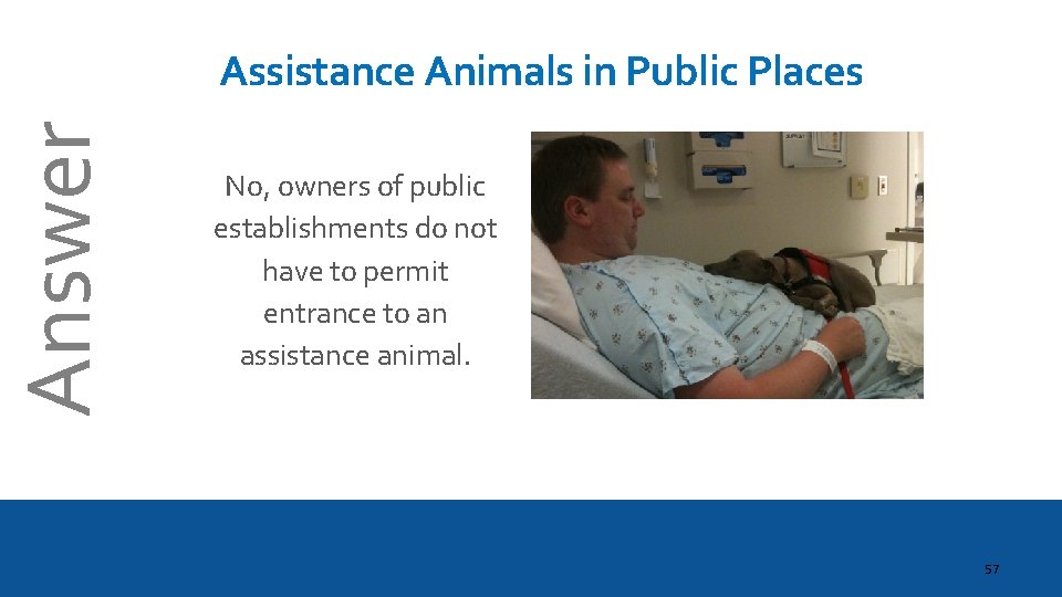 Answer Assistance Animals in Public Places No, owners of public establishments do not have