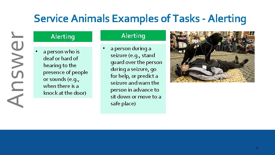 Answer Service Animals Examples of Tasks - Alerting • a person who is deaf