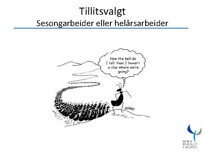 Tillitsvalgt Sesongarbeider eller helårsarbeider 