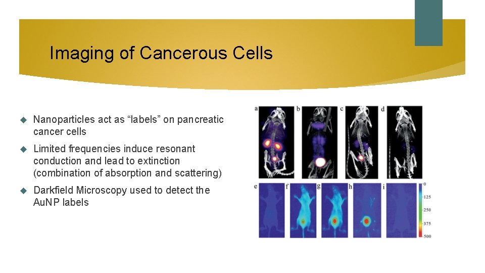 Imaging of Cancerous Cells Nanoparticles act as “labels” on pancreatic cancer cells Limited frequencies