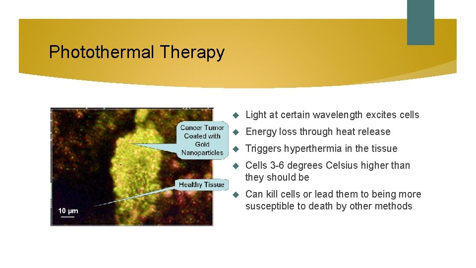 Photothermal Therapy Light at certain wavelength excites cells Energy loss through heat release Triggers