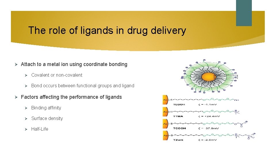 The role of ligands in drug delivery Ø Ø Attach to a metal ion