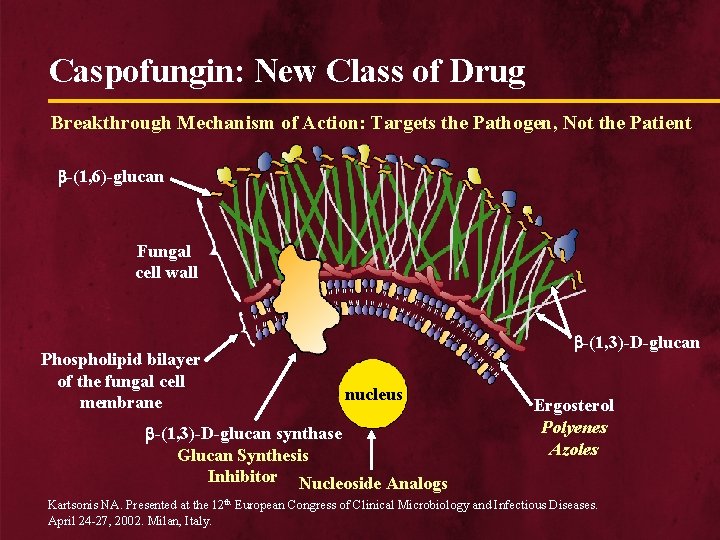 Caspofungin: New Class of Drug Breakthrough Mechanism of Action: Targets the Pathogen, Not the