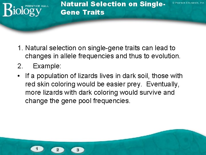 Natural Selection on Single. Gene Traits 1. Natural selection on single-gene traits can lead