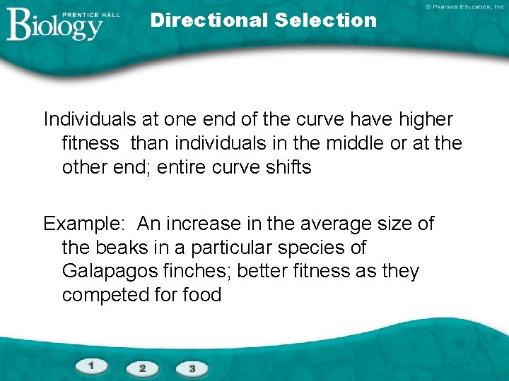 Directional Selection Individuals at one end of the curve have higher fitness than individuals