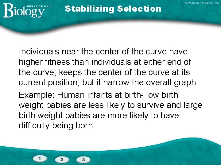 Stabilizing Selection Individuals near the center of the curve have higher fitness than individuals