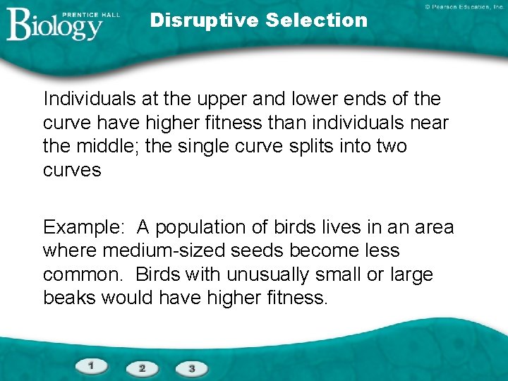 Disruptive Selection Individuals at the upper and lower ends of the curve have higher