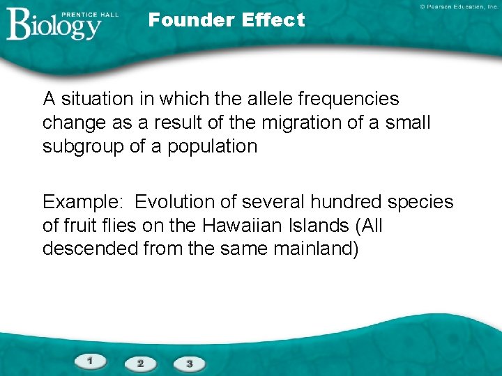 Founder Effect A situation in which the allele frequencies change as a result of