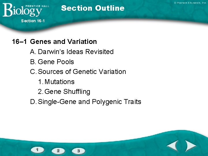 Section Outline Section 16 -1 16– 1 Genes and Variation A. Darwin’s Ideas Revisited