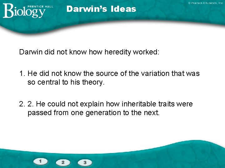 Darwin’s Ideas Darwin did not know heredity worked: 1. He did not know the