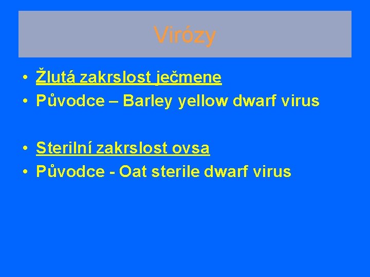 Virózy • Žlutá zakrslost ječmene • Původce – Barley yellow dwarf virus • Sterilní