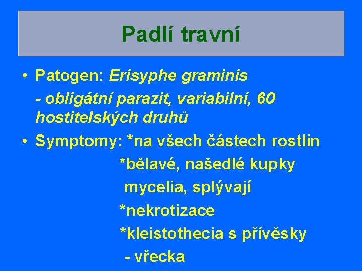 Padlí travní • Patogen: Erisyphe graminis - obligátní parazit, variabilní, 60 hostitelských druhů •