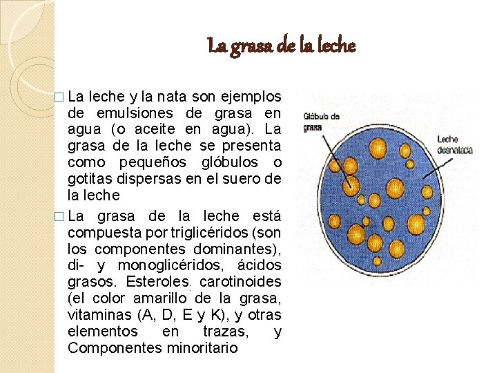 La grasa de la leche � La leche y la nata son ejemplos de