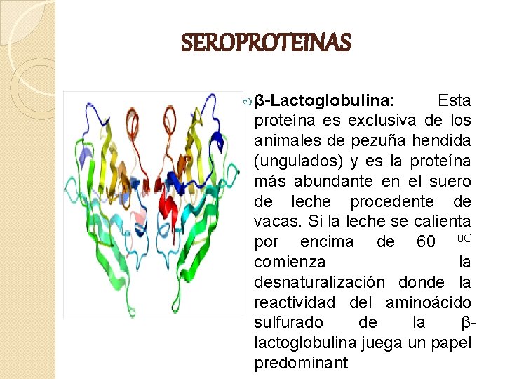 SEROPROTEINAS β-Lactoglobulina: Esta proteína es exclusiva de los animales de pezuña hendida (ungulados) y