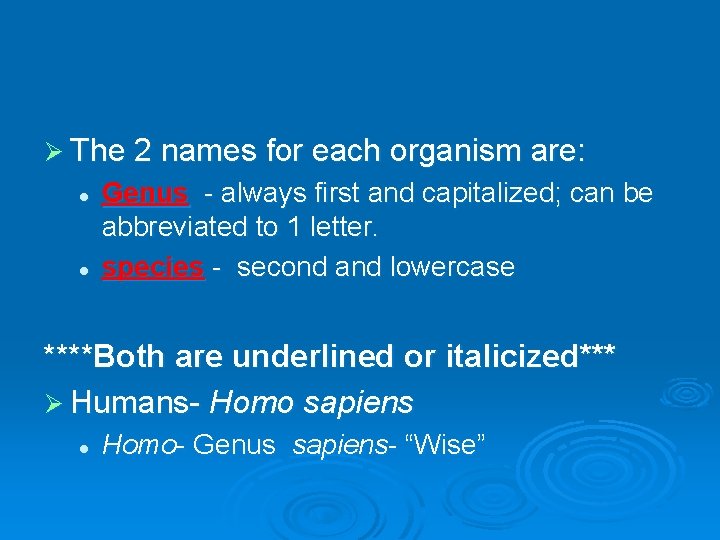 Ø The 2 names for each organism are: l l Genus - always first