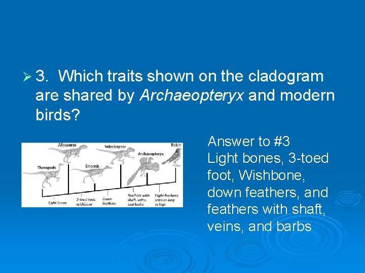 Ø 3. Which traits shown on the cladogram are shared by Archaeopteryx and modern