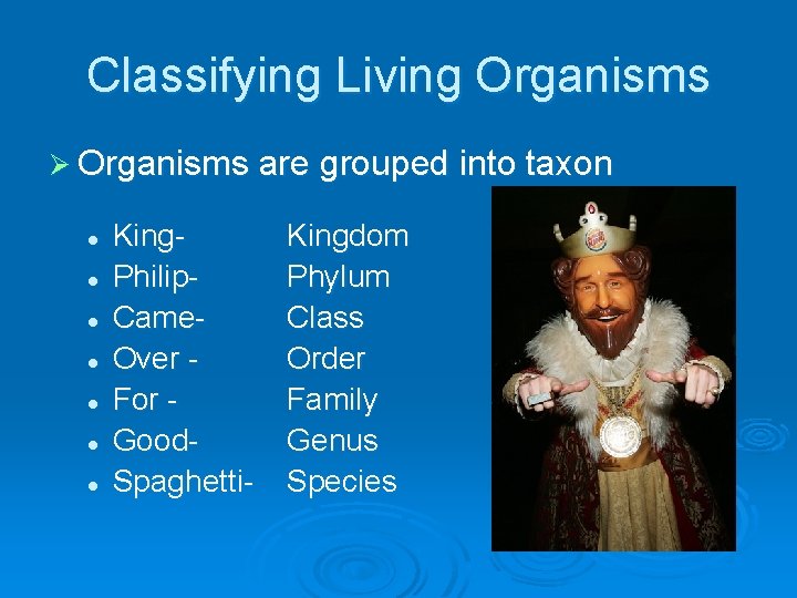 Classifying Living Organisms Ø Organisms are grouped into taxon l l l l King.