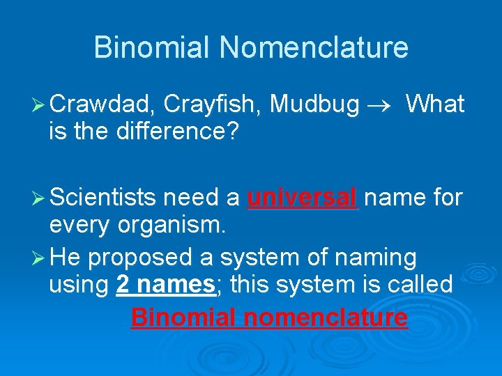 Binomial Nomenclature Ø Crawdad, Crayfish, Mudbug is the difference? What Ø Scientists need a Binomial Nomenclature Ø Crawdad, Crayfish, Mudbug is the difference? What Ø Scientists need a