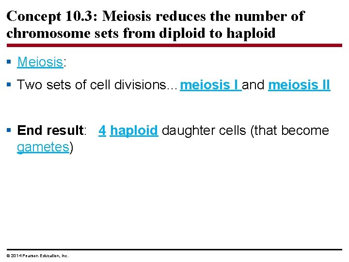 Concept 10. 3: Meiosis reduces the number of chromosome sets from diploid to haploid