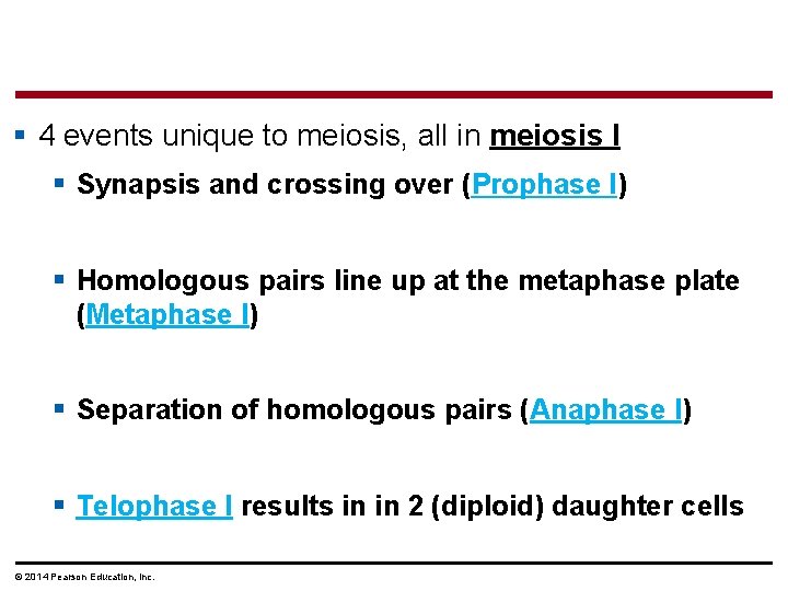 § 4 events unique to meiosis, all in meiosis l § Synapsis and crossing