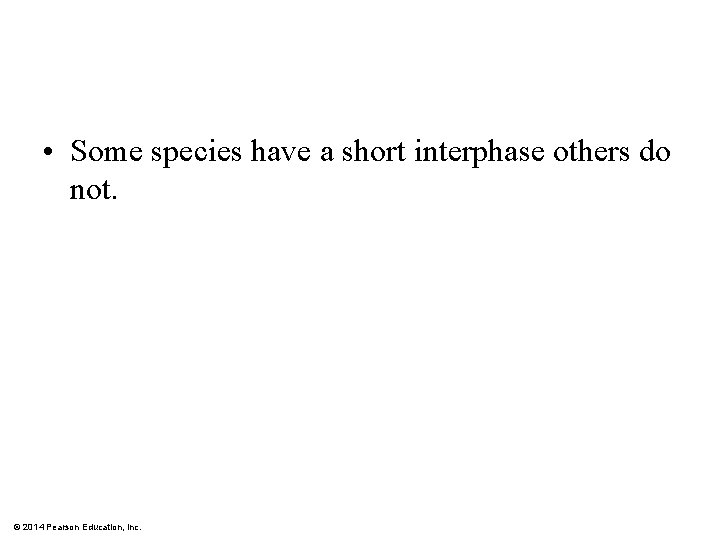  • Some species have a short interphase others do not. © 2014 Pearson