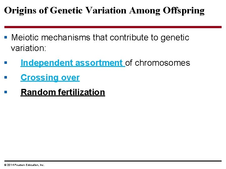 Origins of Genetic Variation Among Offspring § Meiotic mechanisms that contribute to genetic variation: