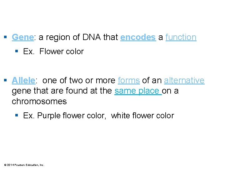 § Gene: a region of DNA that encodes a function § Ex. Flower color