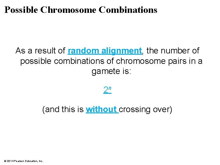 Possible Chromosome Combinations As a result of random alignment, the number of possible combinations