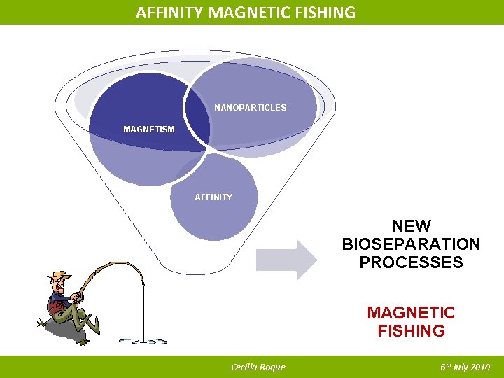 AFFINITY MAGNETIC FISHING NANOPARTICLES MAGNETISM AFFINITY NEW BIOSEPARATION PROCESSES MAGNETIC FISHING Cecília Roque 6