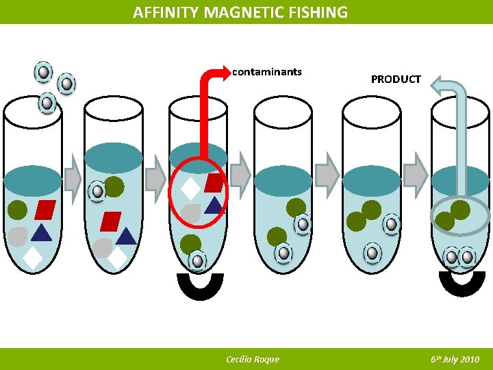 AFFINITY MAGNETIC FISHING contaminants Cecília Roque PRODUCT 6 th July 2010 